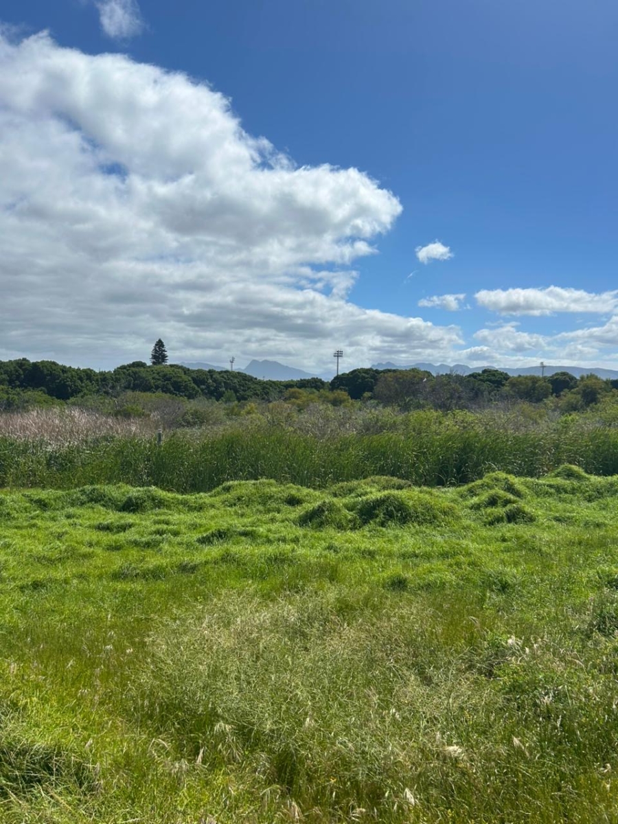 0 Bedroom Property for Sale in Hawston Western Cape